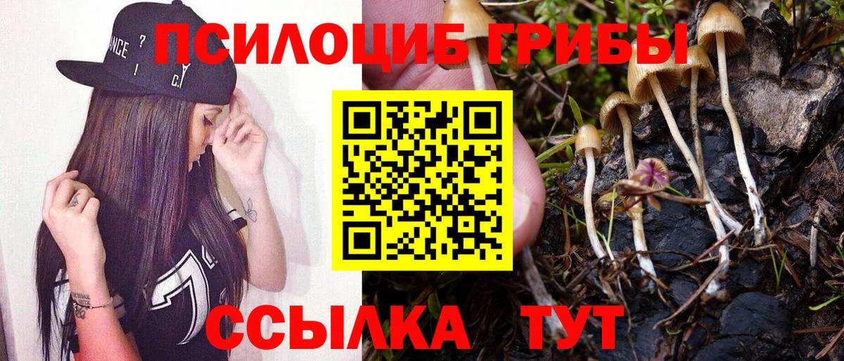 Псилоцибиновые грибы Psilocybe Горячий Ключ