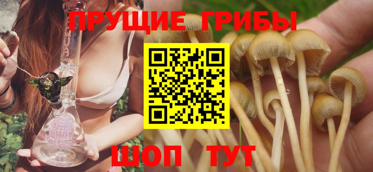 Горячий Ключ  Галлюциногенные грибы прущие грибы  Вход с VPN 